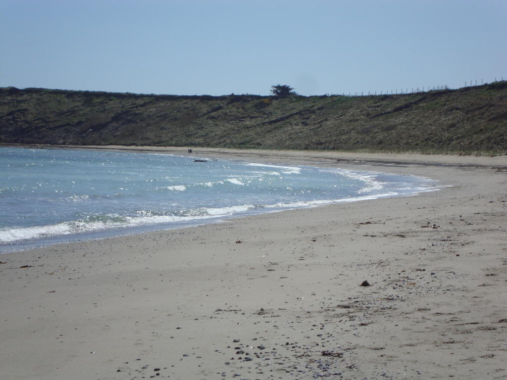 Clifford House B & B Rosslare Harbour Luaran gambar
